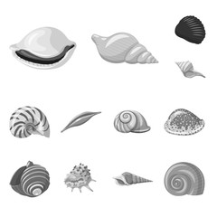 Vector illustration of aquarium and aquatic sign. Set of aquarium and decoration vector icon for stock.