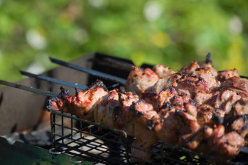 barbecue meat on the fire unopened. summer picnic in the country.