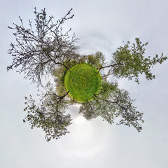 Little planet spherical panorama 360 degrees. Spherical aerial view  in blooming apple garden...