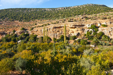 Valle de Ajloun. Jordania, Oriente Medio
