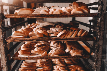 Delicious sliced baked bread align on baking trays on shelves in bakehouse.