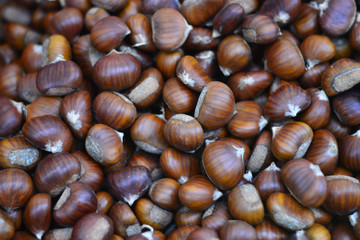 Castagne raccolte nei boschi per riscaldare l'inverno