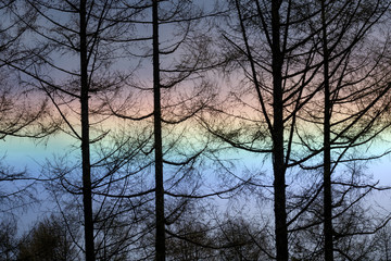 八ヶ岳山麓で見られた環水平アーク