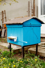 bee hives in the field