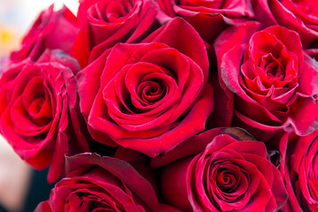 bouquet of red roses , many flowers