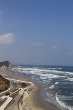 磯 海岸 薄