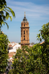Fototapeta na wymiar Bell tower church of San Sebastian. Antequera. Spain.