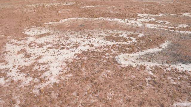 ground with saline soil or red acid soil and land crack with soil drought on the area lacks water and arid in countryside for agriculture and background on slow and motion pan