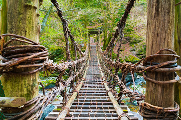 風景物語(四国 徳島 奥祖谷 二重かずら橋)