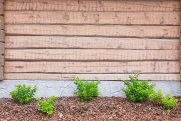 Peeled log wall exterior and bushes