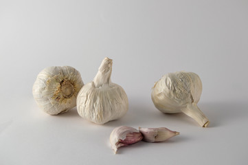 set of garlics isolated on white background