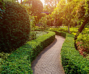 Luxury landscape design of the tropical garden. Beautiful view of tropical landscape