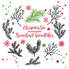 Hand drawn fir, pine cedar, coniferous branches. Christmas holiday winter plants for decoration. Vector isolated xmas design elements.