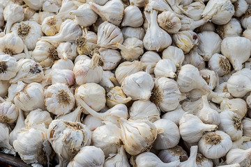Close up of garlic in market, organic garlic background