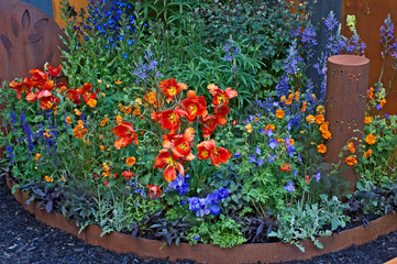 Close up of a colourful steel red, orange and blue flower border in a modern garden