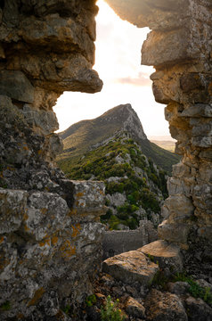 pic saint loup