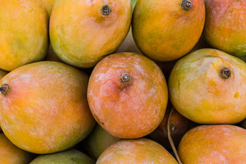 Pile of rip mangoes background