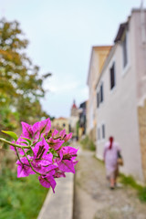close-up of purple flowers and a red-haired woman walking along old houses out of focus in the background