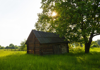 Old wooden shed