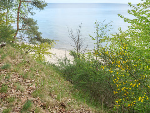 Danzig und die Ostseek&uuml;ste in Polen