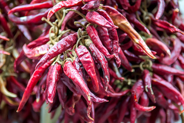 Red dried chili peppers bunch background. Selective focus