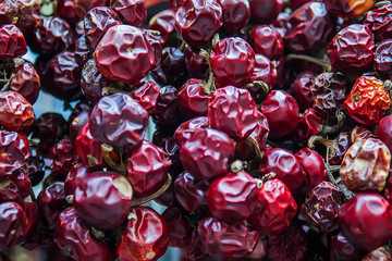 CloseUp of dried red peppers hanging on a rope in the market. Selective focus