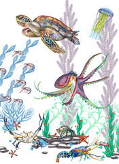 Underwater animals life.