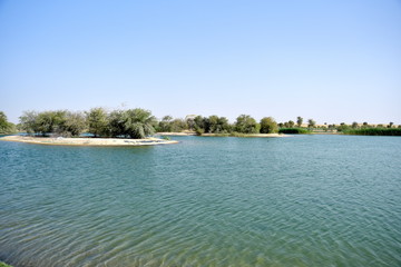 Landscape from al qudra lakes at the day, Dubai, United Arab Emirates