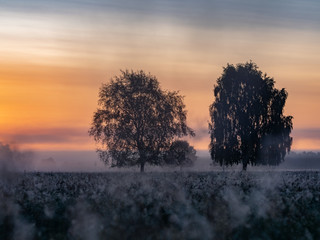 Landschaft am Morgen