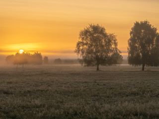 Fototapeta na wymiar Landschaft am Morgen