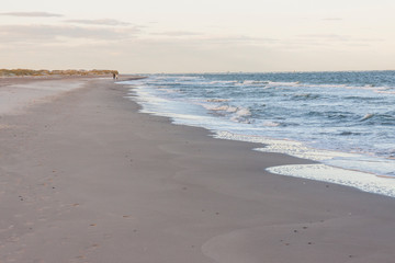 Fototapeta na wymiar Sandy beach next to Skagen in Denmark