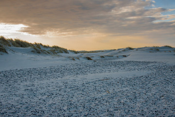 Fototapeta premium Sandy beach next to Skagen in Denmark