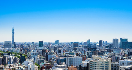 Fototapeta na wymiar 東京スカイツリーと都市風景　ワイド
