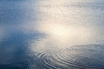 Water surface with reflections.