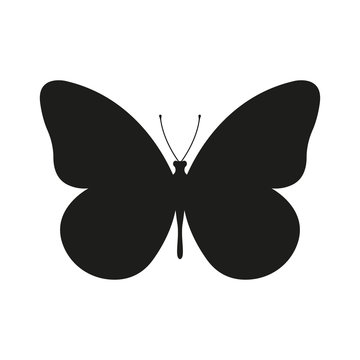 Butterfly icon or silhouette. Vector illustration. 