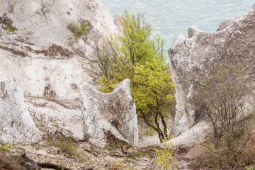 White cliffs - Mons, Denmark.