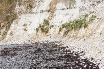 Stevns Cliff in Denmark