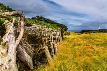 Great trip to New Zealand.