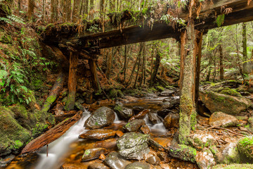 Stream running under old abandoned train bridge