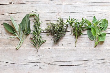 Fresh herbs selection included rosemary, thyme, sage and oregano