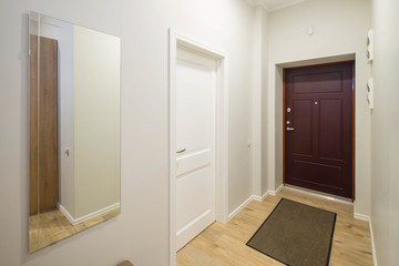 Simple hall interior. Doors and mirror.