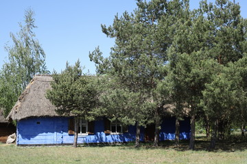 Niebieska drewniana chata na wsi © Seance_Photo_Sylwia