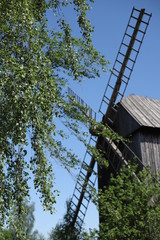 Drewniany wiatrak na polu z drzewami  © Seance_Photo_Sylwia