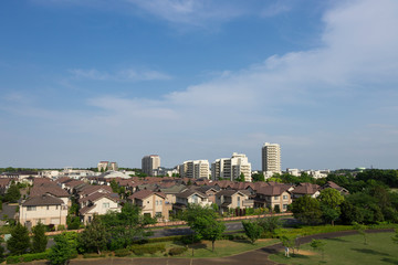 Fototapeta na wymiar 緑のある住宅街の風景