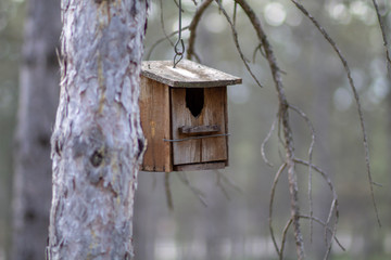 HOUSE OF BIRDS