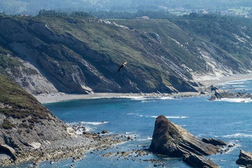  LANDSCAPE IN CABO DE VIDIO ASTURIAS, SPAIN