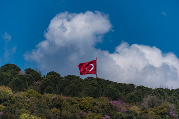 Türkische Flagge in der Natur