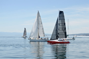 Fototapeta premium catamaran and yachts are sailing in the bay