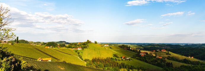 South styria vineyards landscape, near Gamlitz, Austria, Eckberg, Europe. Grape hills view from wine road in spring. Tourist destination, travel spot.