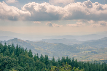 Picturesque view of overcast sky and pine tree mountain forest covered with mist